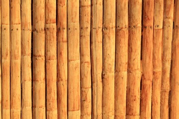 Old wood plank texture background