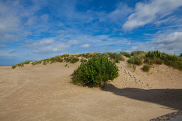 Nordseestrand in Belgien