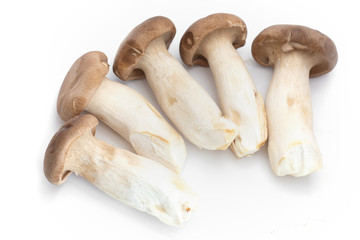 King Oyster Mushroom on white background.