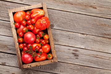 Fresh garden tomatoes