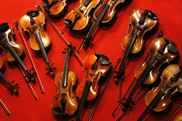 Many violins and bows on red background.Top view.Overhead shot. © fotosen55