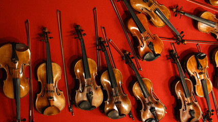 Many violins and bows on red background.Top view.Overhead shot. © fotosen55
