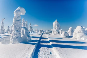Schöne verschneite Winterlandschaft. Schneebedeckte Tannen im Hintergrund. Finnland, Lappland © NBLX