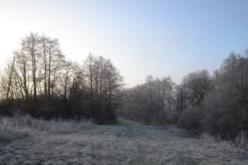 Obraz na płótnie Canvas frost