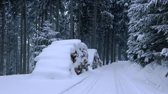 Holz im Wald gestapelt mit Ski Loipe