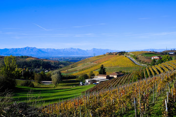 Piedmontese landscape of Langhe in autumn