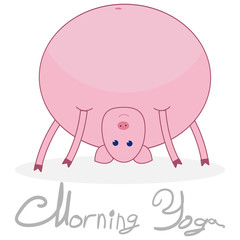 Morning yoga with a pig