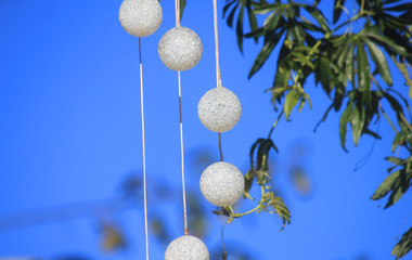 Christmas balls on a branch
