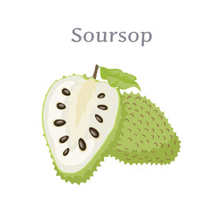 Soursop Whole and Cut Fruit Edible Plant Vector