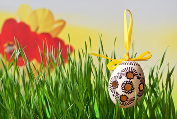 Easter eggs on the meadow in the springtime.