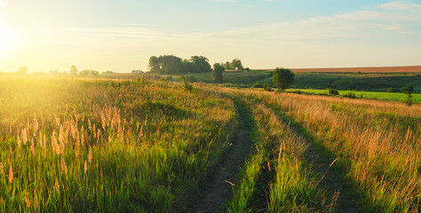 Sunny summer landscape with ground country road passing through the fields and meadows