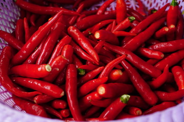 red hot chili peppers