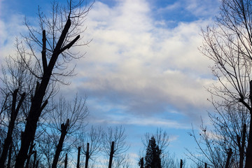 Dramatic sunset sky background