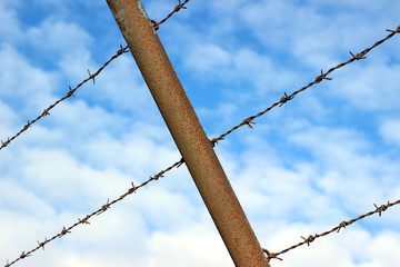 Barbed wire blue sky detail