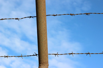 Barbed wire blue sky detail