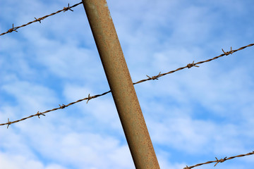 Barbed wire blue sky detail