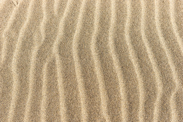 Fototapeta na wymiar Sand on the beach. Sandy beach for background