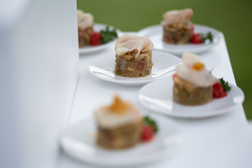 close-up of food in the party, detail