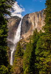 yosemite falls with forest and clouds