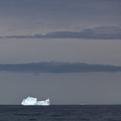 Fototapeta na wymiar Iceberg at Marguerite Bay, Antarctic Peninsula, Antarctica