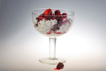 Quark mit Beeren Cocktail