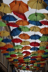Fototapeta na wymiar Parapluies de couleurs