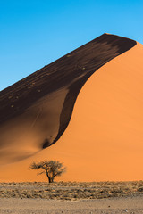 Fototapeta na wymiar Dunes at Sossusvlei, Namibia