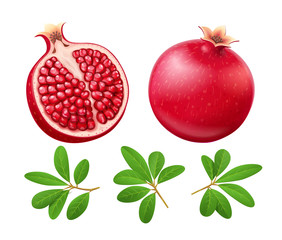 Set of Ripe juicy pomegranate. Cuted Fruit with green leaves.