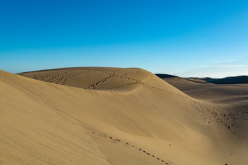 Fototapeta na wymiar Landscape with yellow sandy dunes of Maspalomas and blue Atlantic ocean, Gran Canaria, Spain
