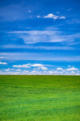 Field with clouds and sky