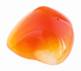 tumbled carnelian gem stone on white