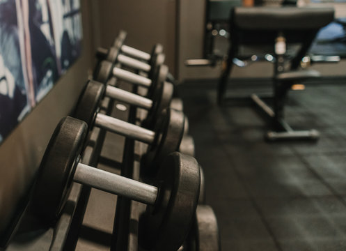 Set of dumbbells lying on rack in gym
