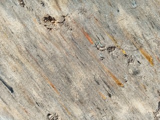 texture of wood