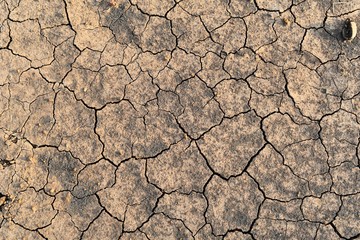 dry soil for background