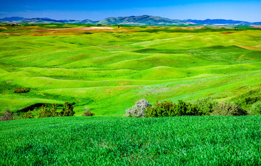 Rolling farm fields with mountains