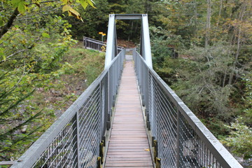 Fototapeta na wymiar Swiss Blausee Brücke
