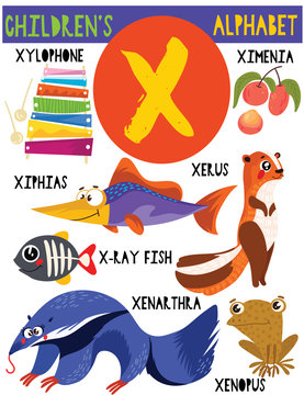 Letter X.Cute children's alphabet with adorable animals and other things.Poster for kids learning English vocabulary.Cartoon vector illustration.