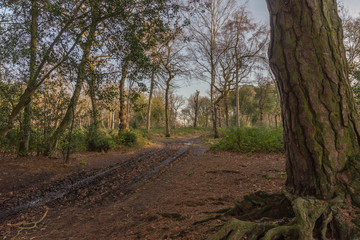 Fototapeta premium Entrance to Holly Hurst