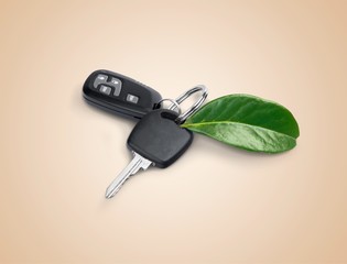 House key with green leaf on wooden background