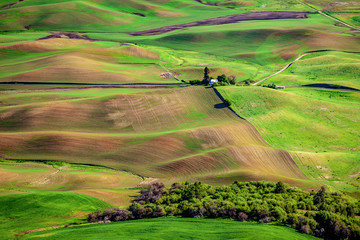 farmland