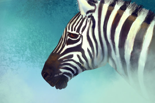Artistic portrait of a zebra. Digital painting
