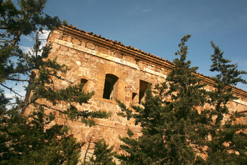 Fototapeta premium RUINS BETWEEN THE TREES
