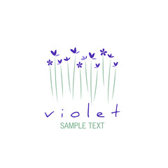 Bouquet of wild violets isolated on white background.