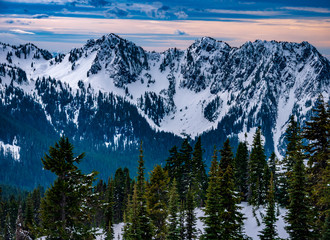 mountains and forest in winter