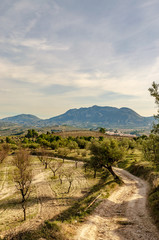 Spanish countryside