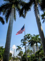 amerikanische Flagge zwischen 2 Palmen