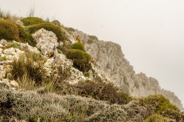 Mountains in spain