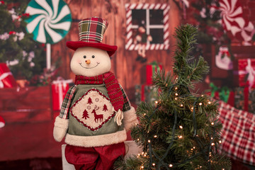 Winter holiday decorations