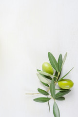 Obraz premium Olive branch on the white table with copy space