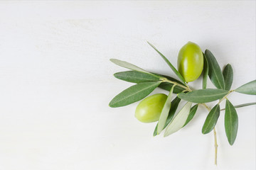 Olive branch on the white background with copy space, flat lay
